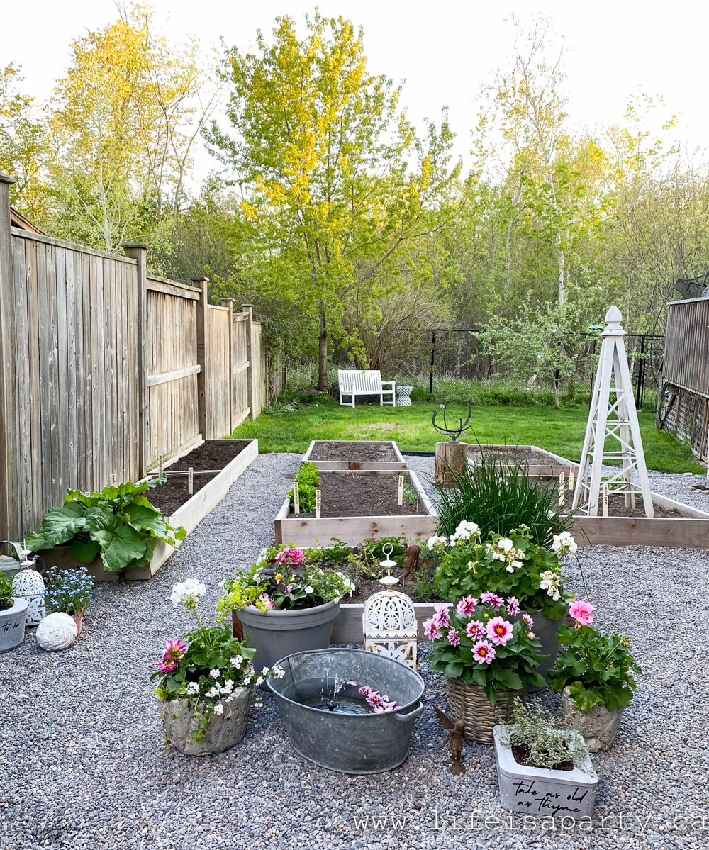 garden spaces on a budget