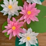 DIY crepe paper water lily flowers.