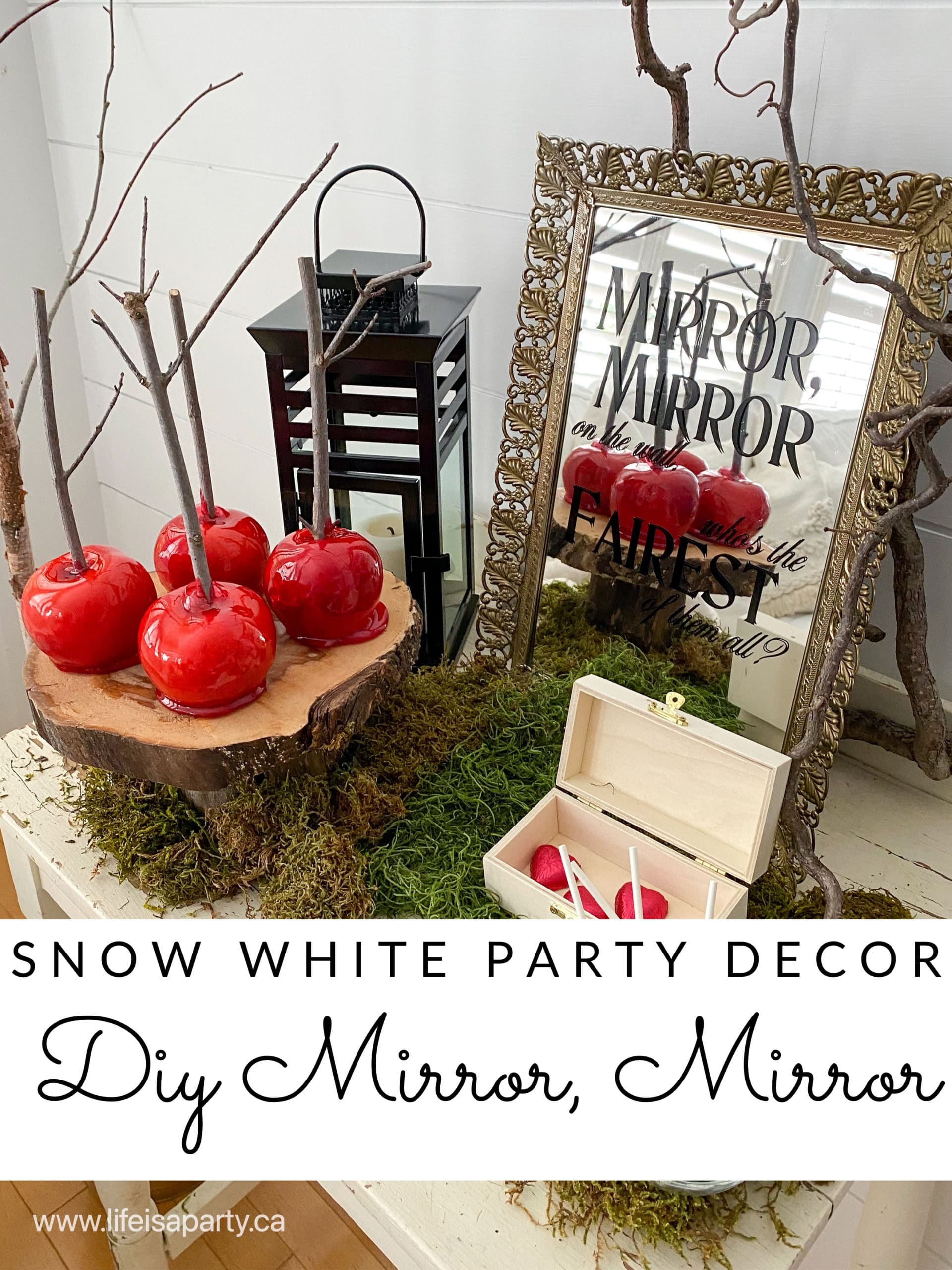 Snow White Party Decor -DIY Mirror, Mirror: use Cricut vinyl to add mirror, mirror on the wall, who's the fairest of the all?
