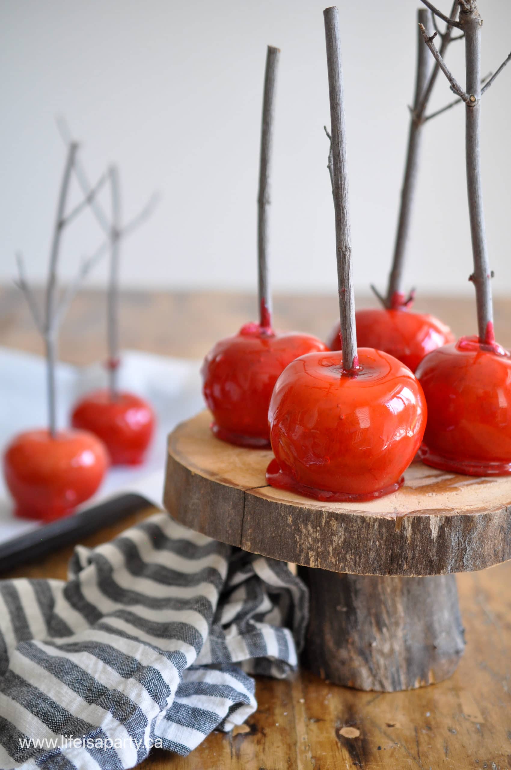 candy apples with tree branch stick