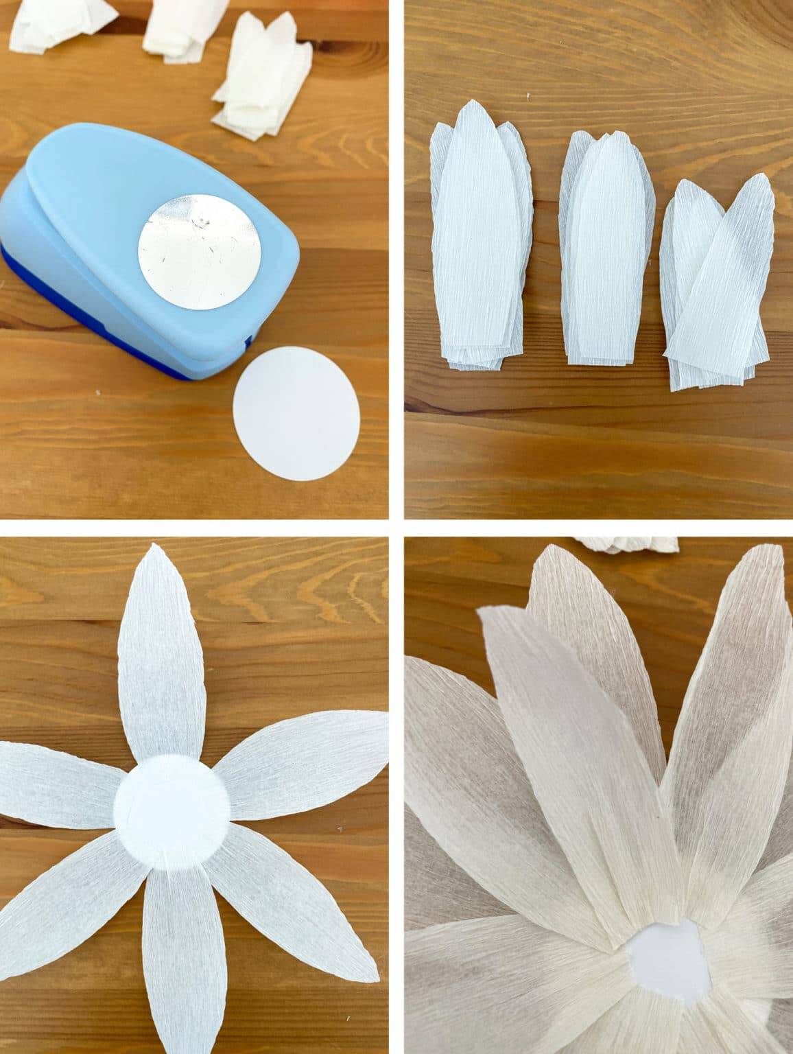 Paper Water Lily Life is a Party