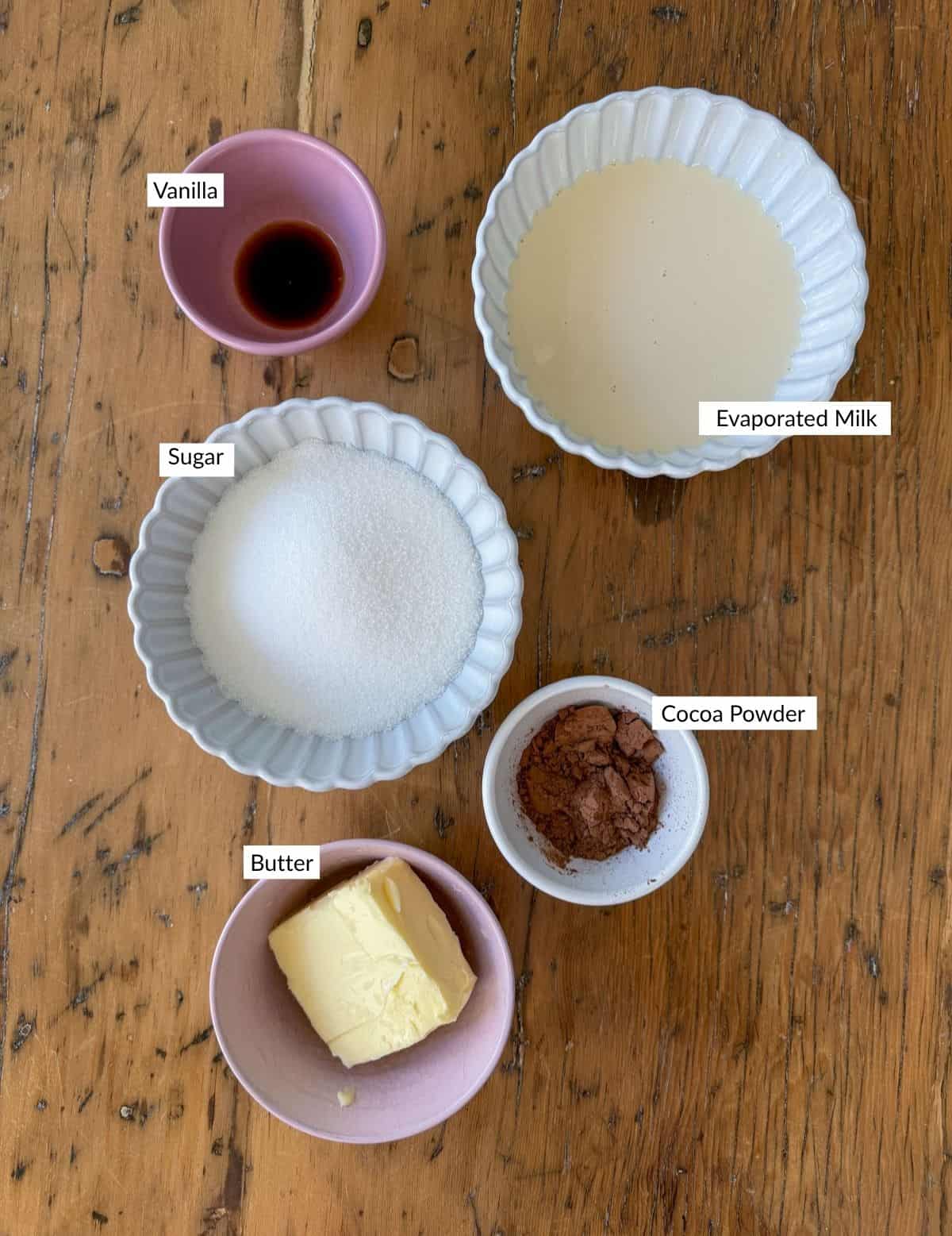 Hot fudge sauce ingredients including butter, cocoa powder, sugar, evaporated milk and vanilla arranged in small bowls.