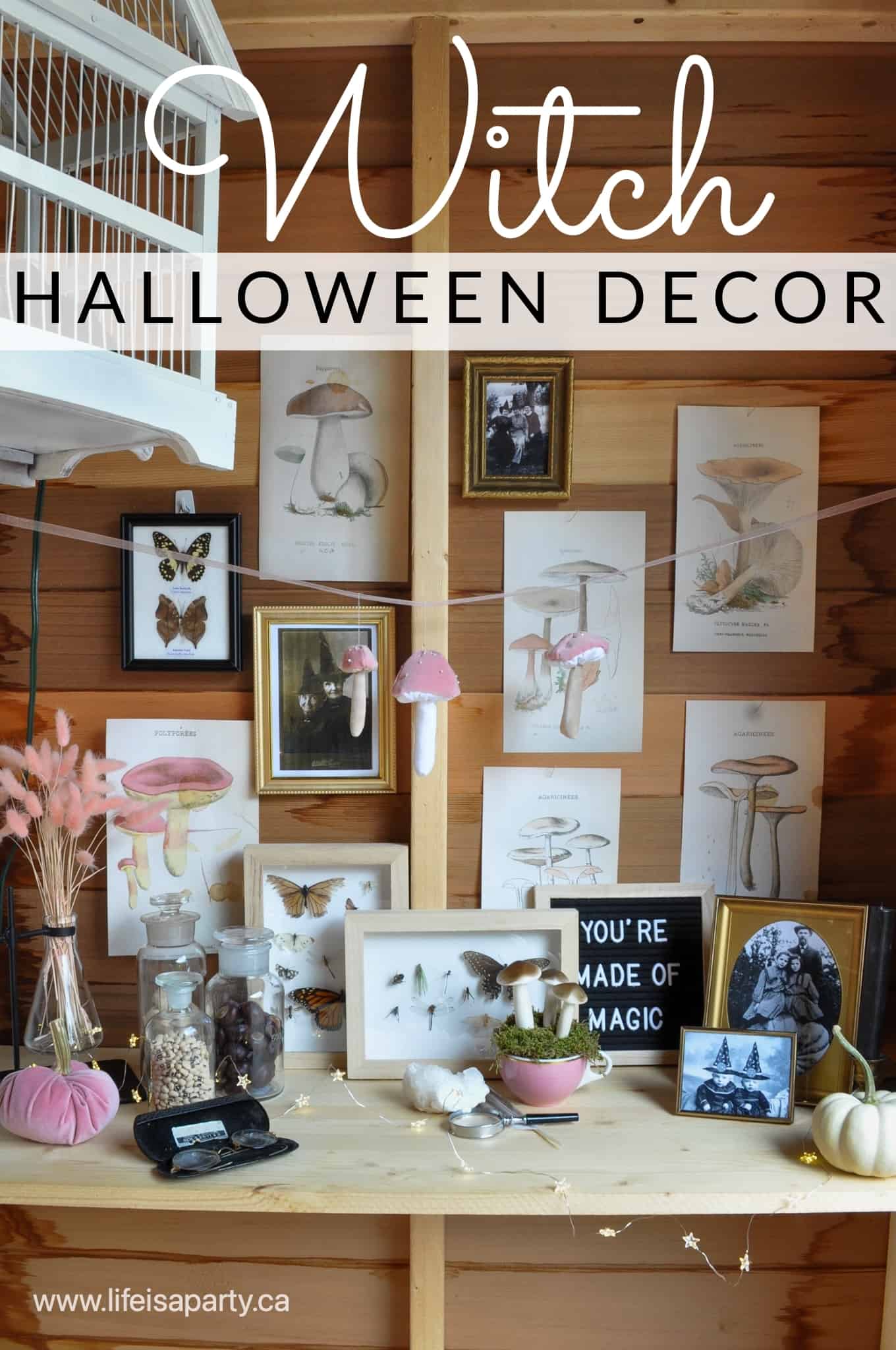 Witch Halloween Decor: inspired by Harry Potter, our garden shed is full of vintage and elegant witch decorations perfect for Halloween.