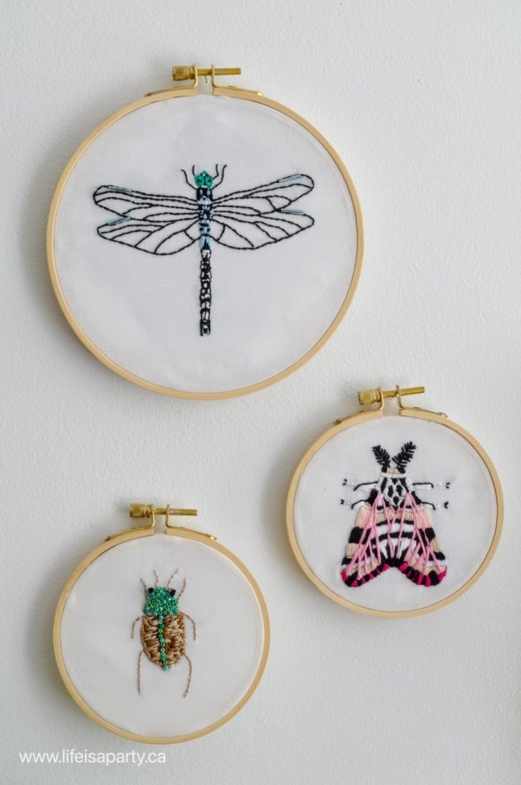 DIY insect embroidery