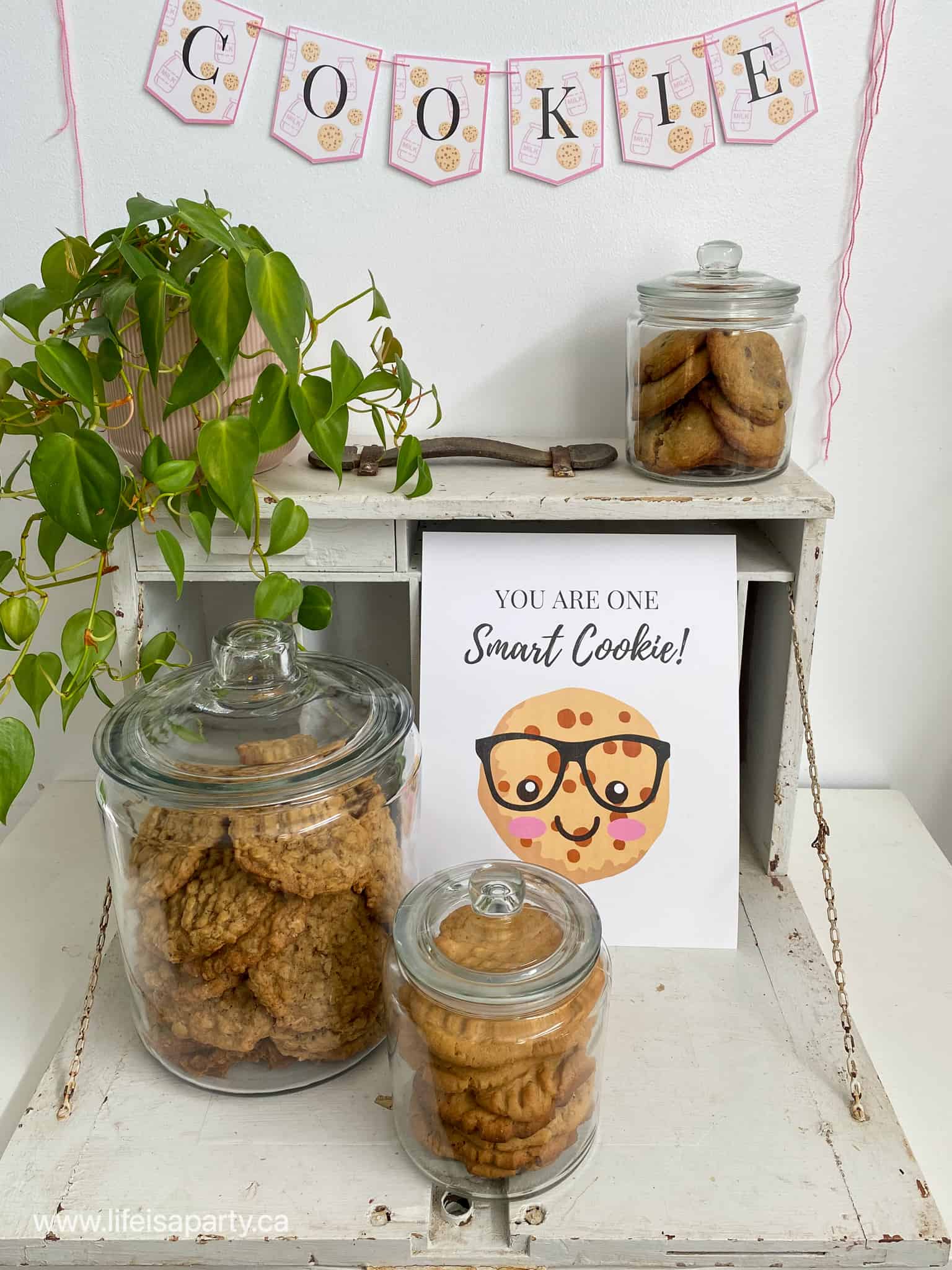 cookie party ideas
