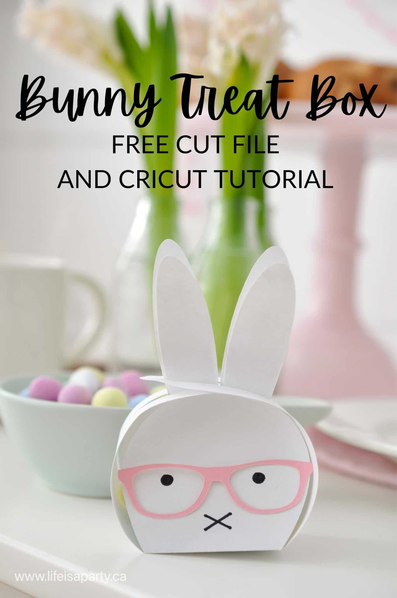 Cricut Bunny Treat Box Free Cut File
