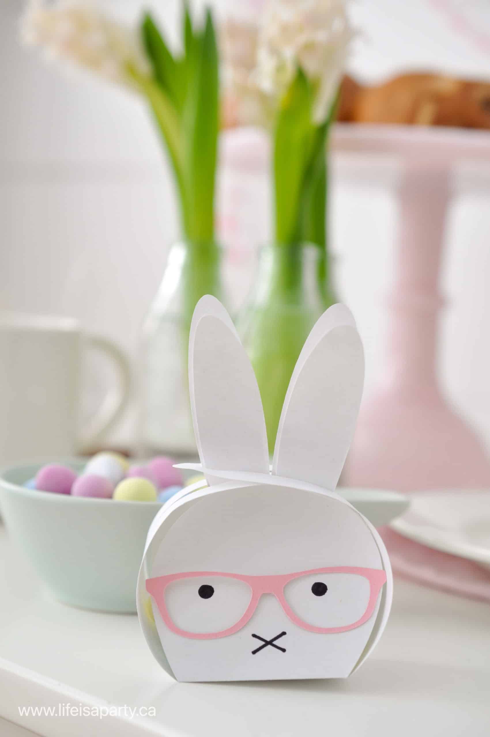 Bunny treat box with glasses