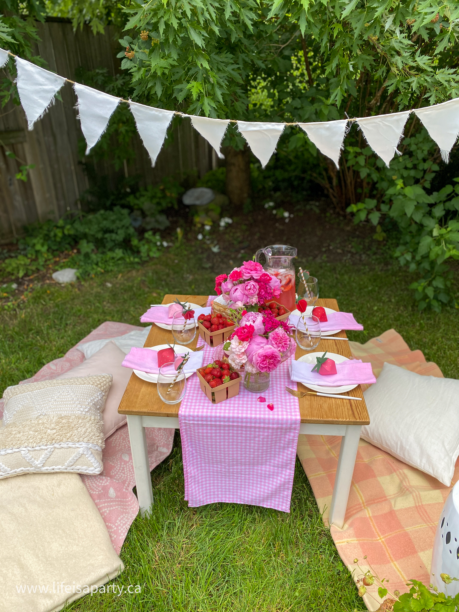 strawberry themed party picnic