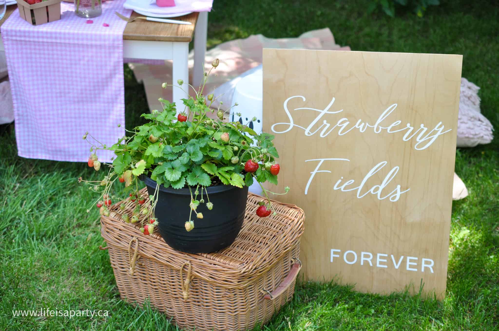 DIY strawberry sign