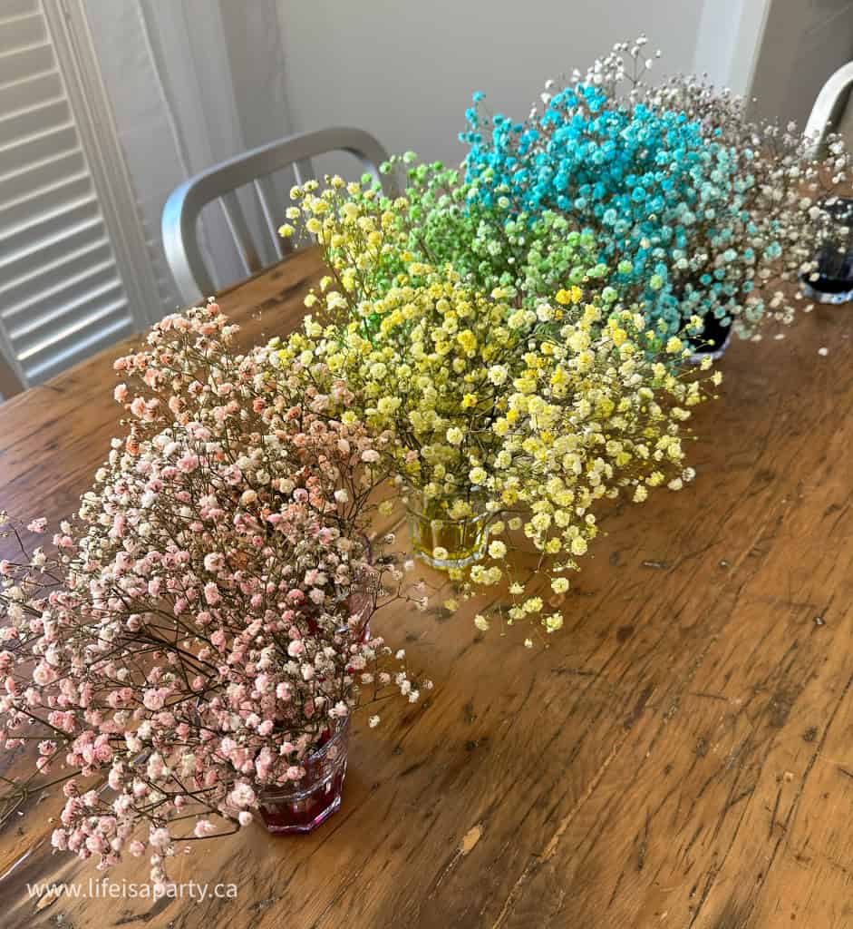 How To Make Rainbow Baby's Breath - Life is a Party