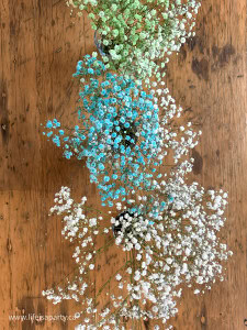 How To Make Rainbow Baby's Breath - Life is a Party