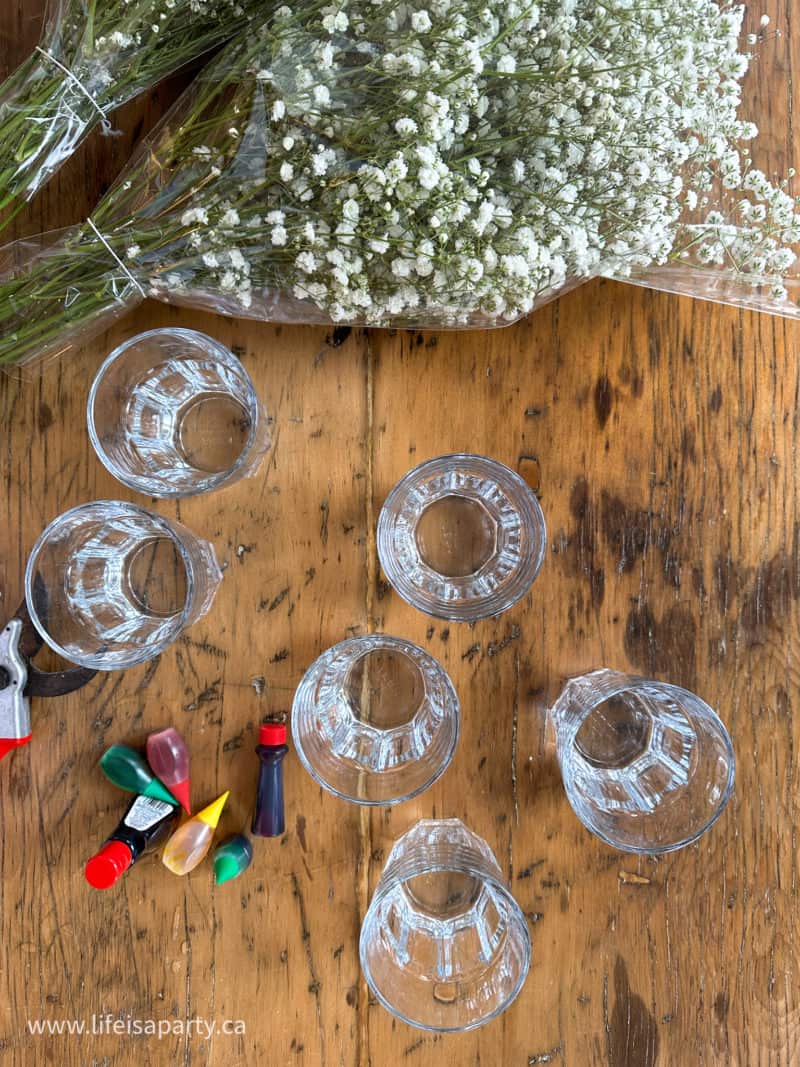 How To Make Rainbow Baby's Breath - Life is a Party