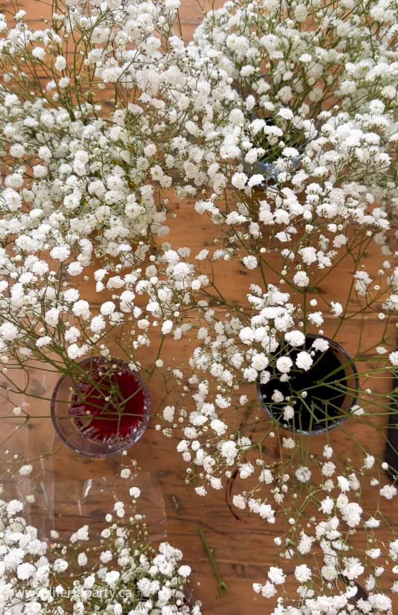 How To Make Rainbow Baby's Breath - Life is a Party