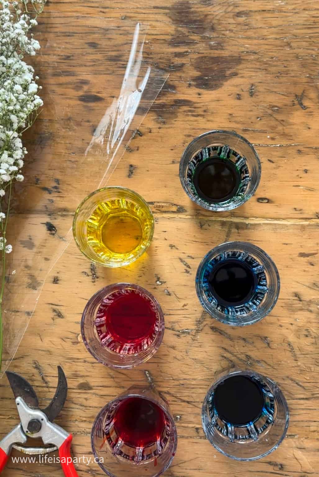 How To Make Rainbow Baby's Breath - Life is a Party