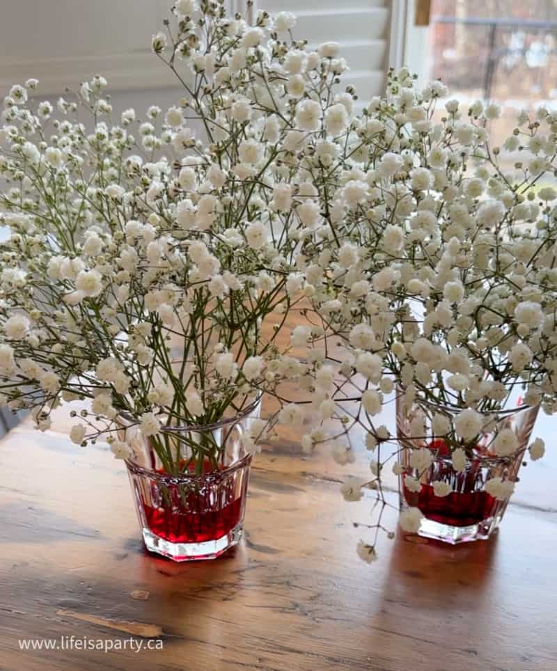 How To Make Rainbow Baby's Breath - Life is a Party