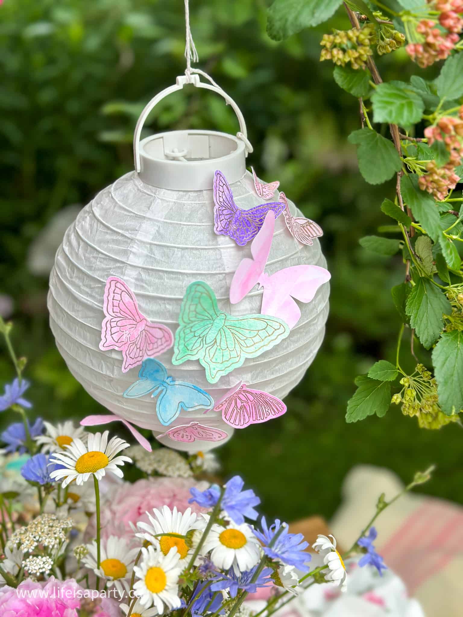 how to make a butterfly lantern