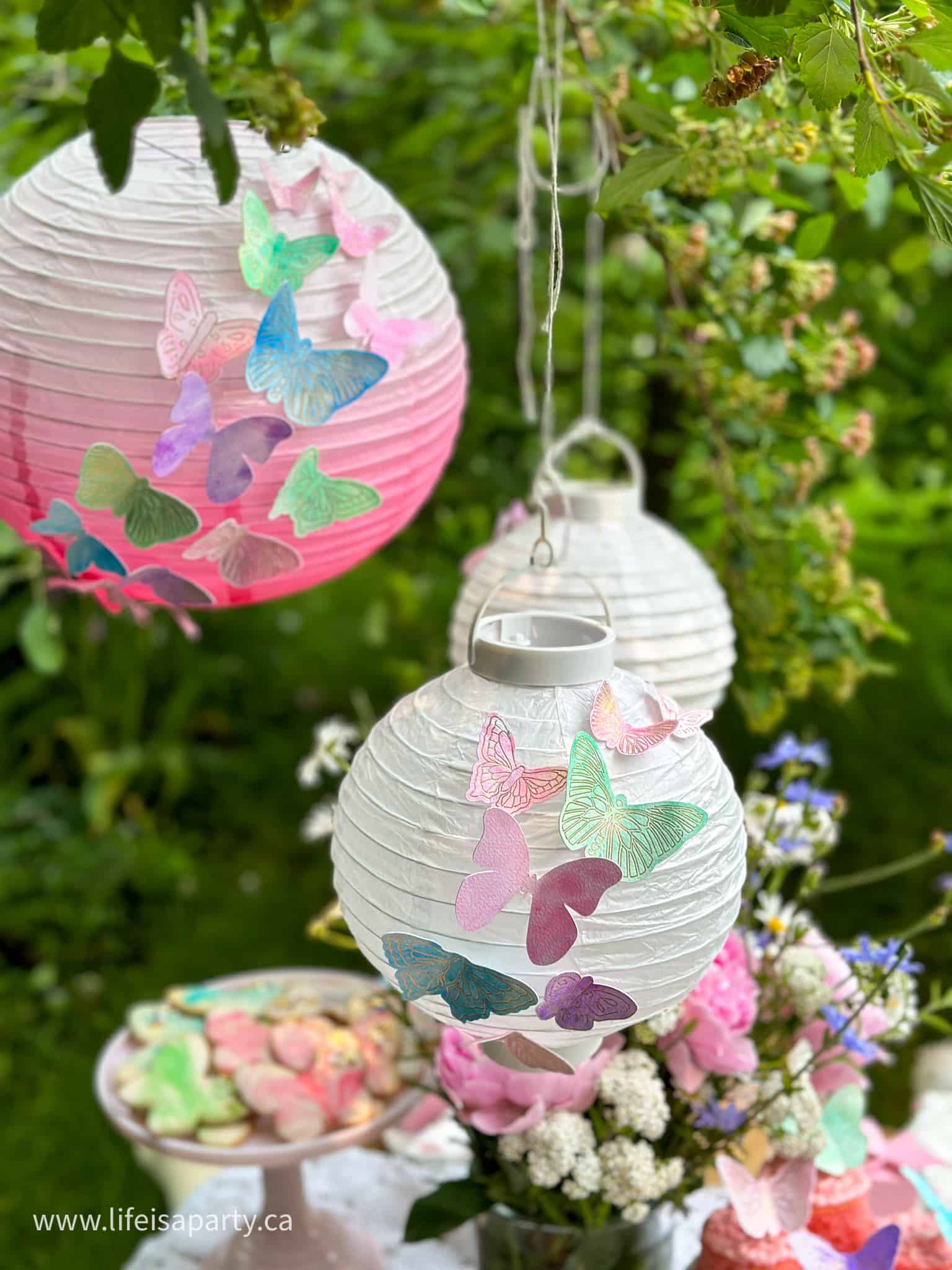 butterfly paper lantern party decor