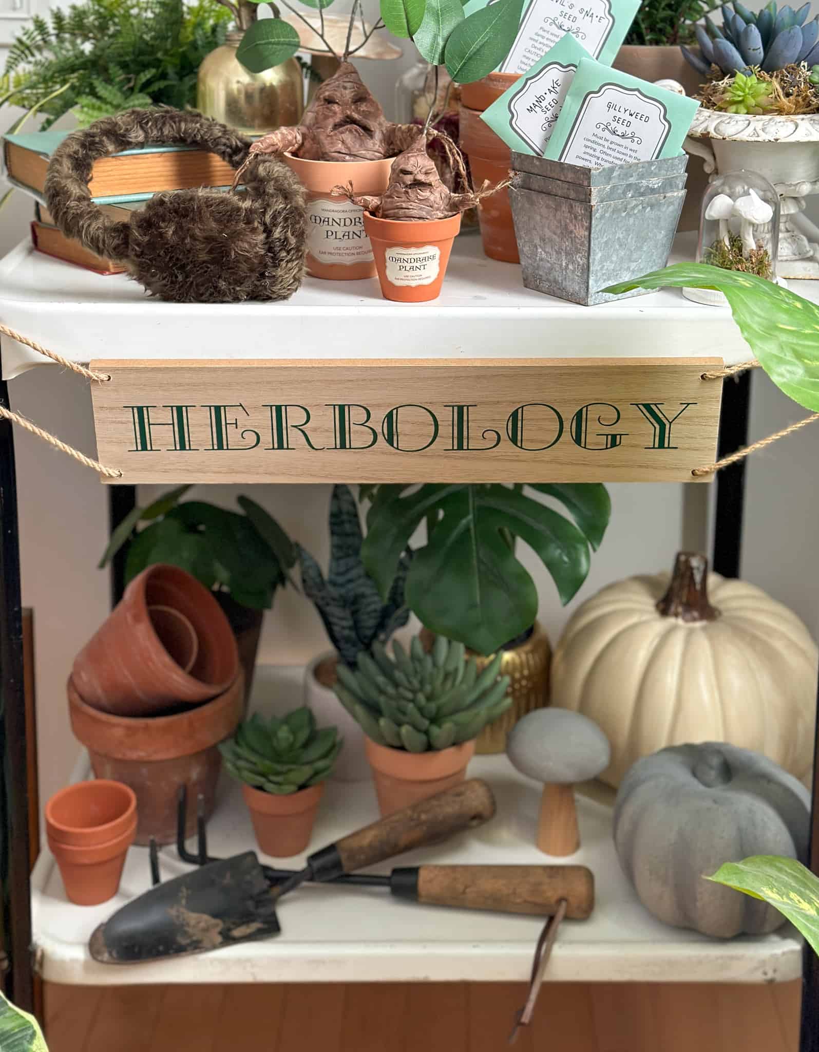 Harry Potter herbology class decor
