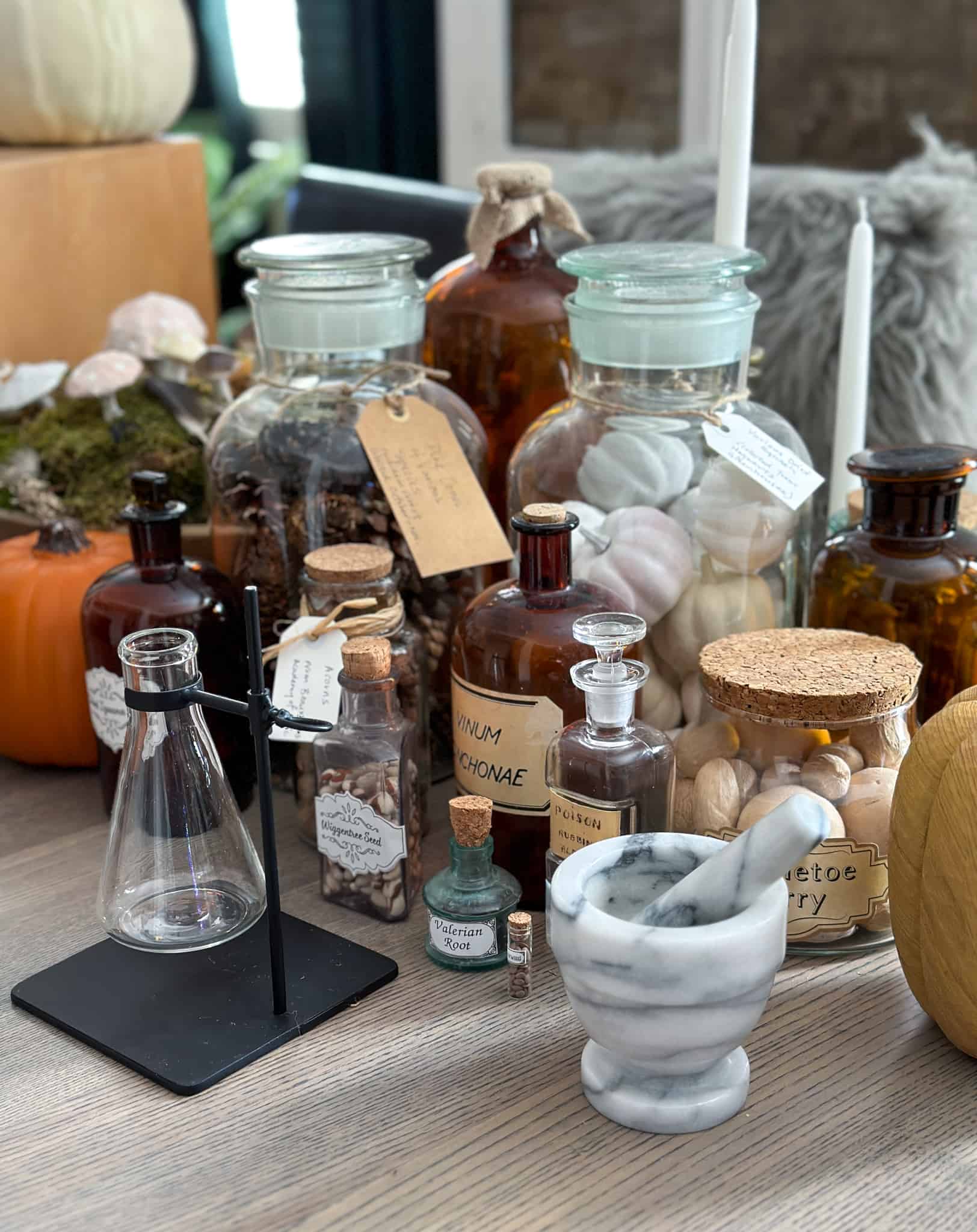 Harry Potter halloween party potions class