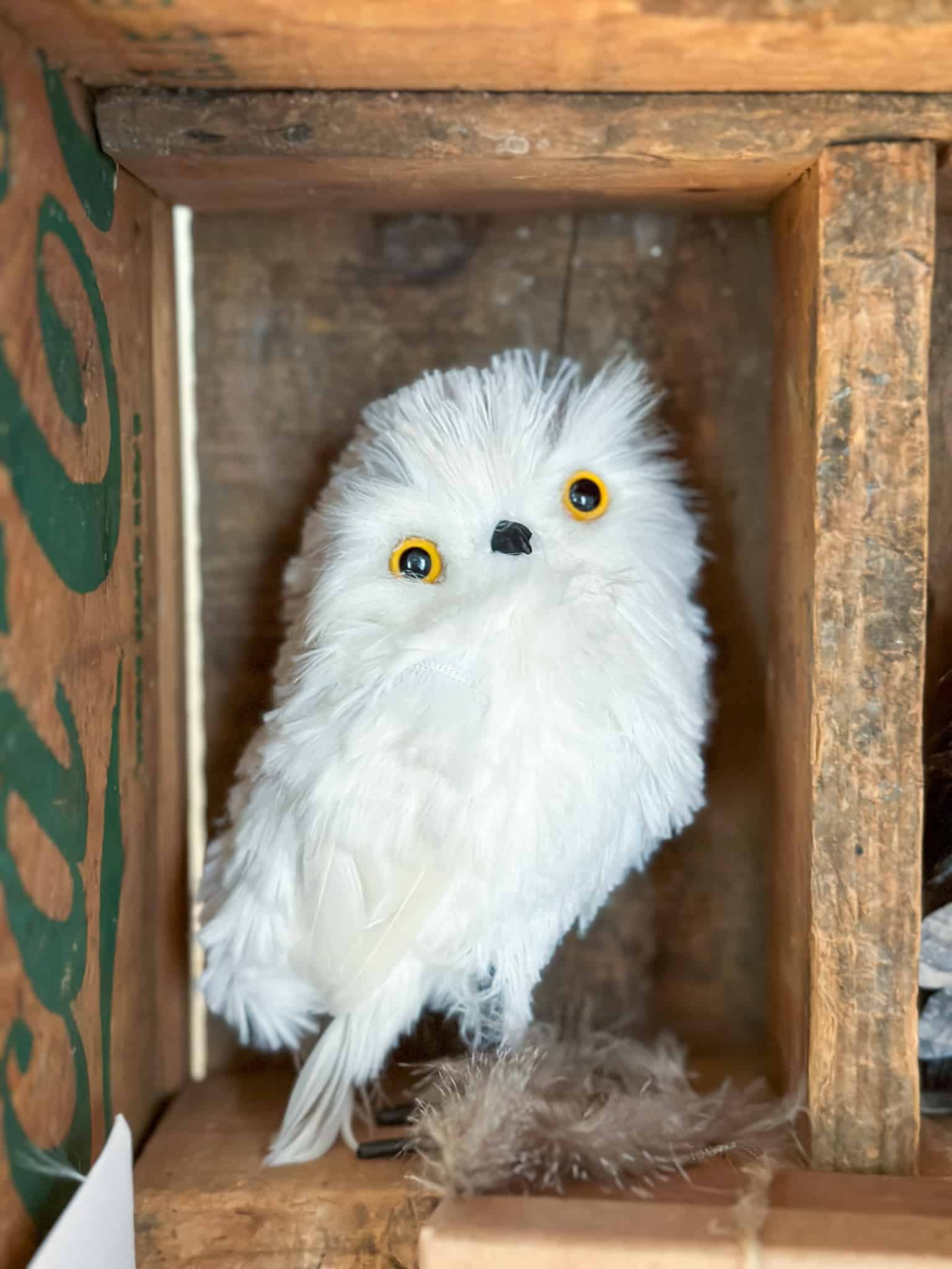 Harry Potter owl posts