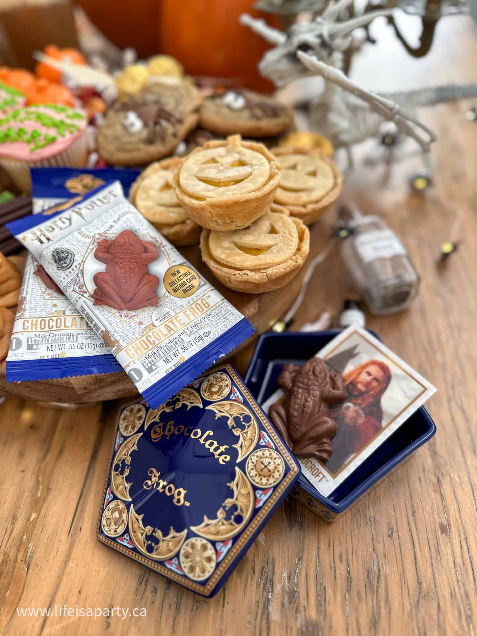 Harry Potter chocolate frog
