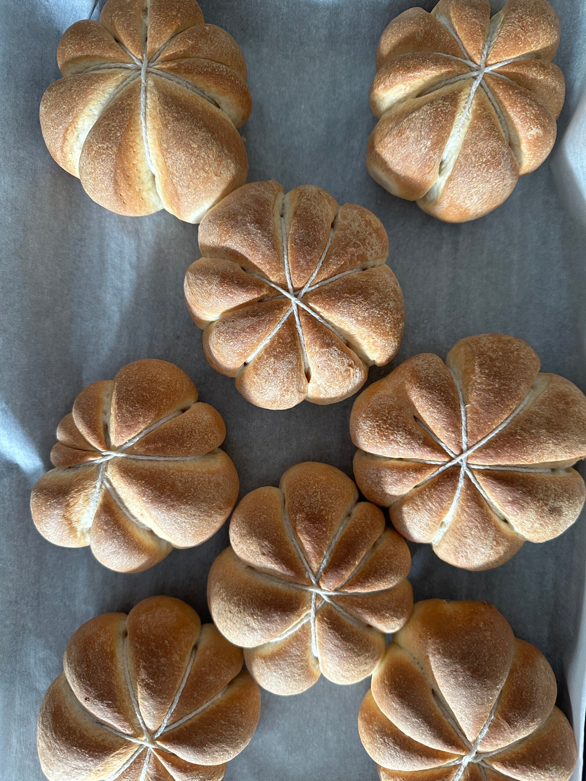 Baked pumpkin shaped dinner rolls on a parchment-lined baking tray.