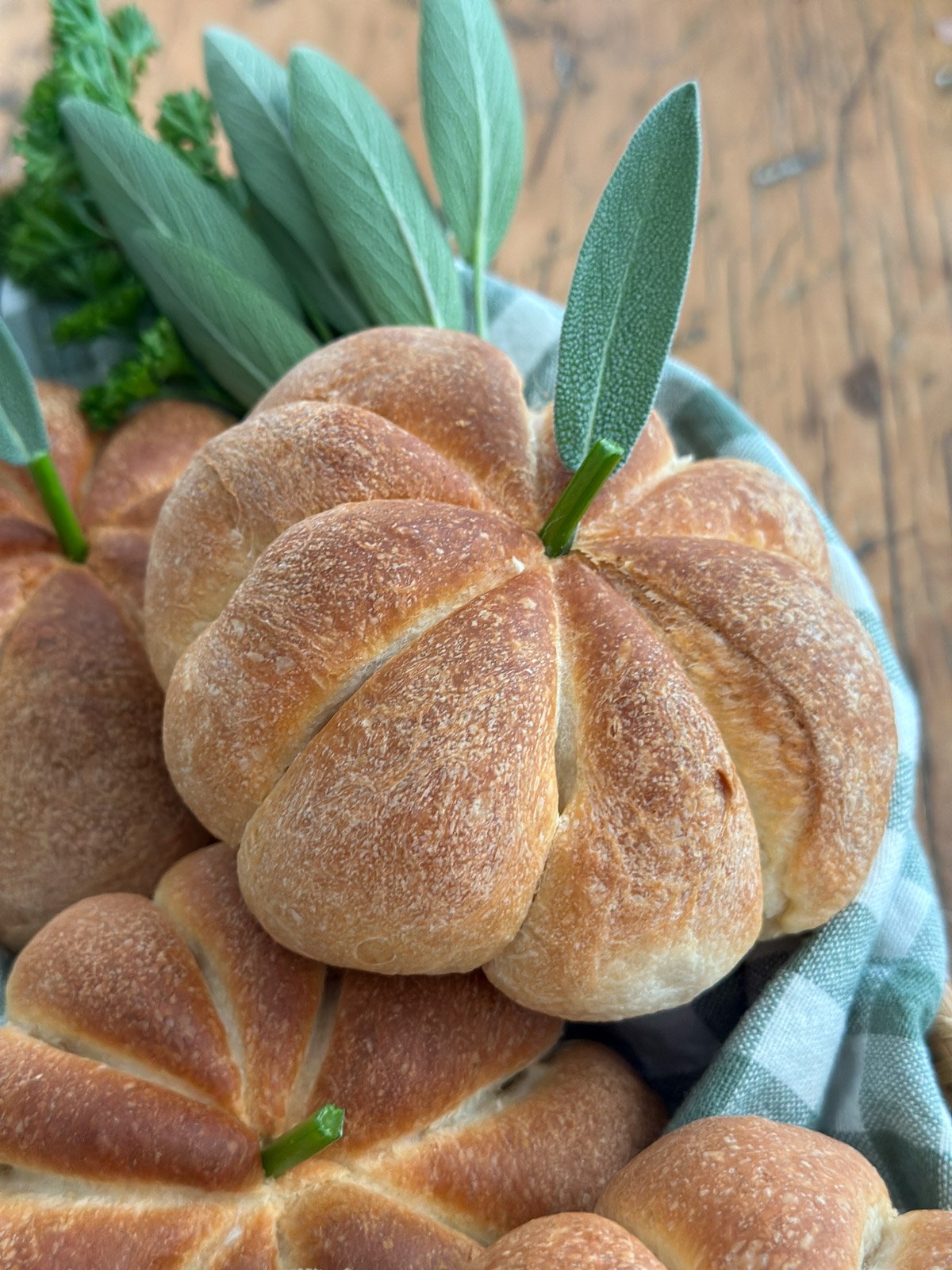 Pumkin shaped dinner rolls with parsely stems and sage leaves.