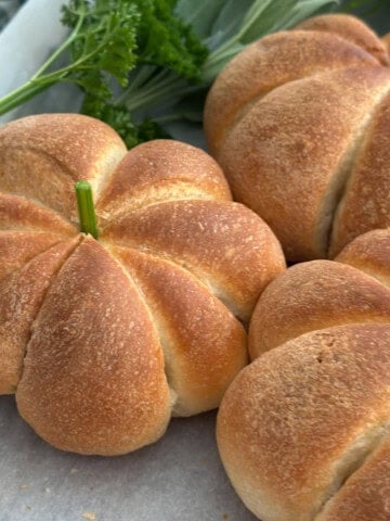 Pumpkin shaped dinner roll recipe, with a herb stem.