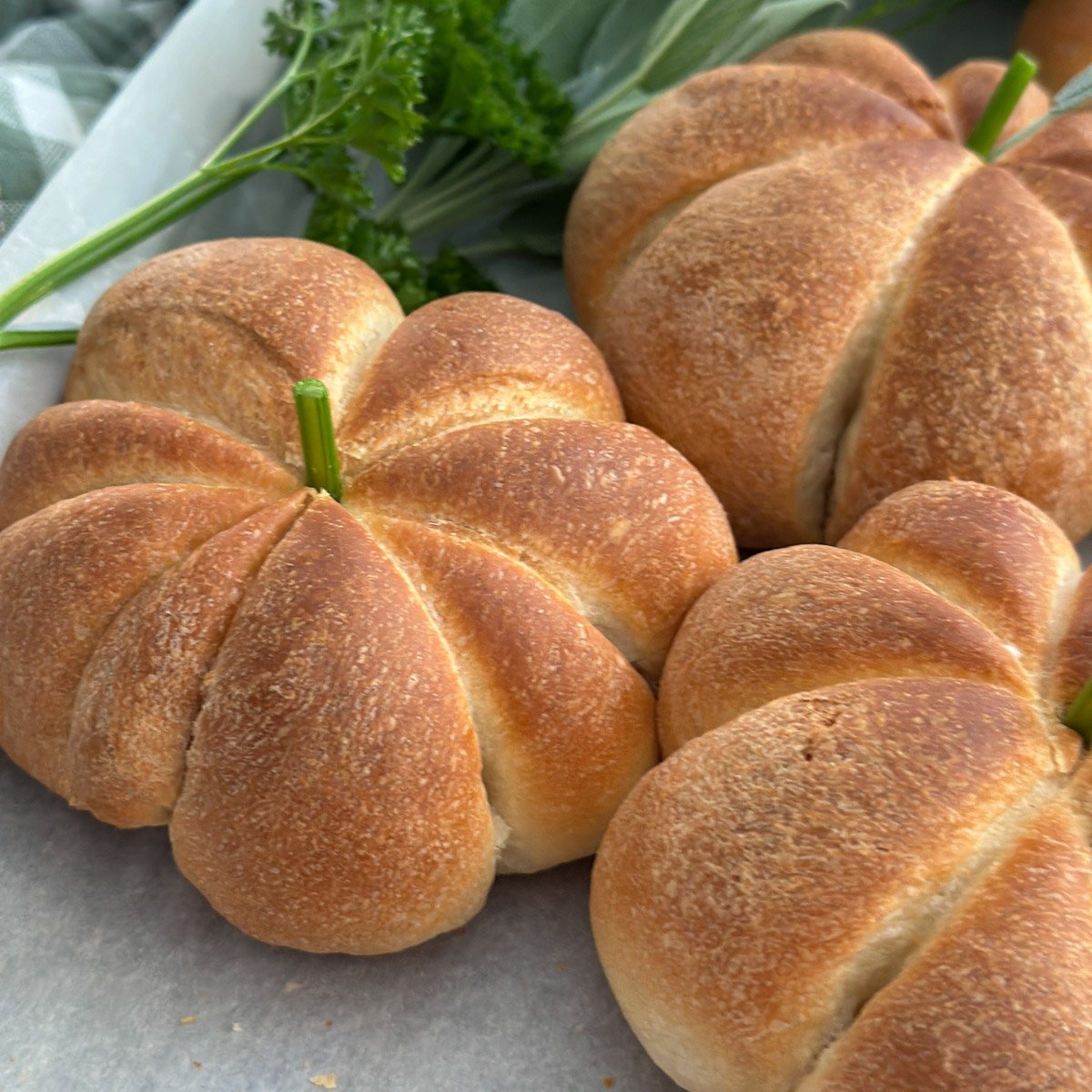 Pumpkin shaped dinner roll recipe, with a herb stem.