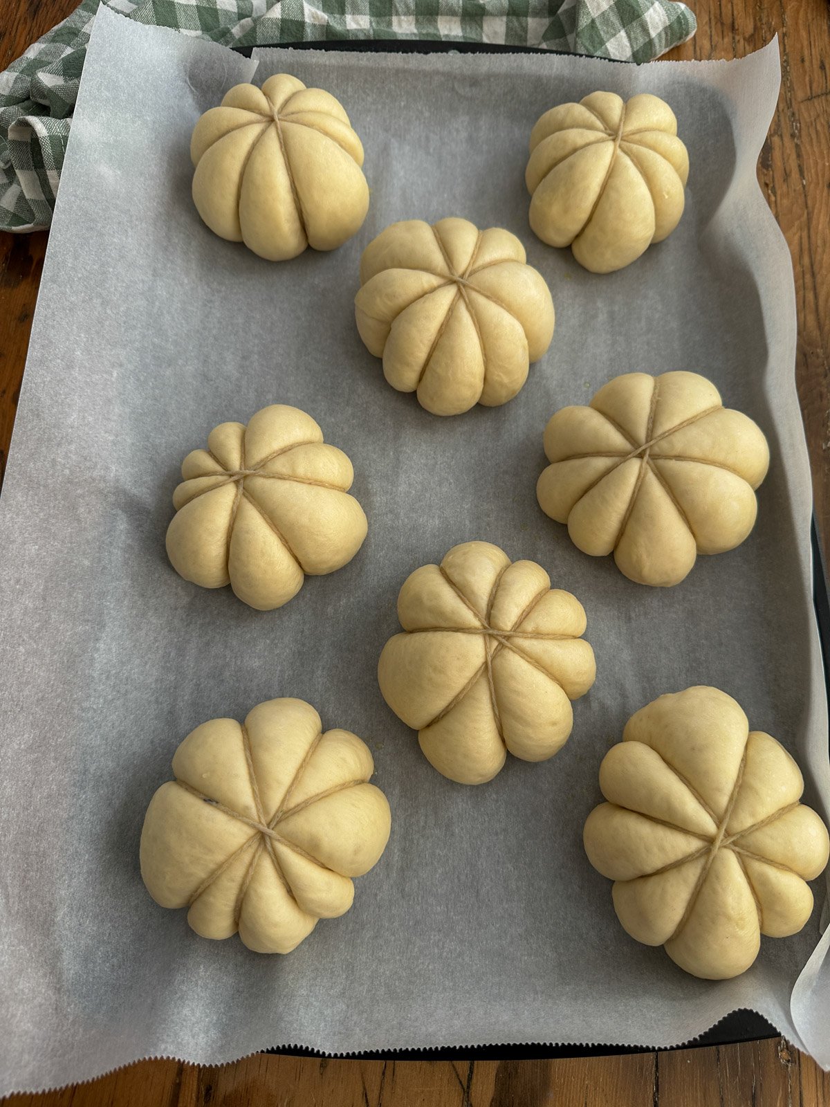 Pumpkin shaped dinner rolls after rising.