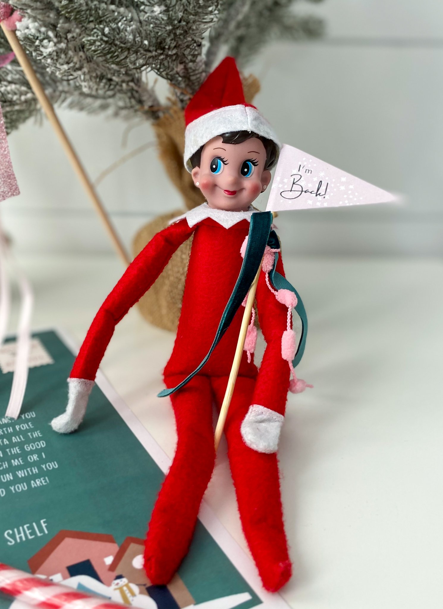Elf on the shelf arrival with free printalbe arrival letter and mini "I'm back" flag.