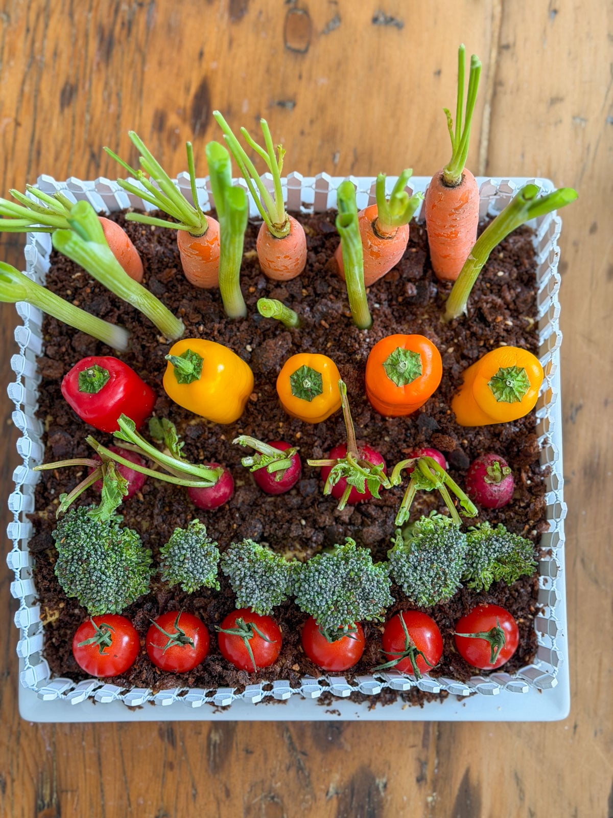 Overhead view of vegetable garden hummus dip with rows of cherry tomatoes, broccoli, radishes, mini peppers, and carrots standing upright in pumpernickel soil.