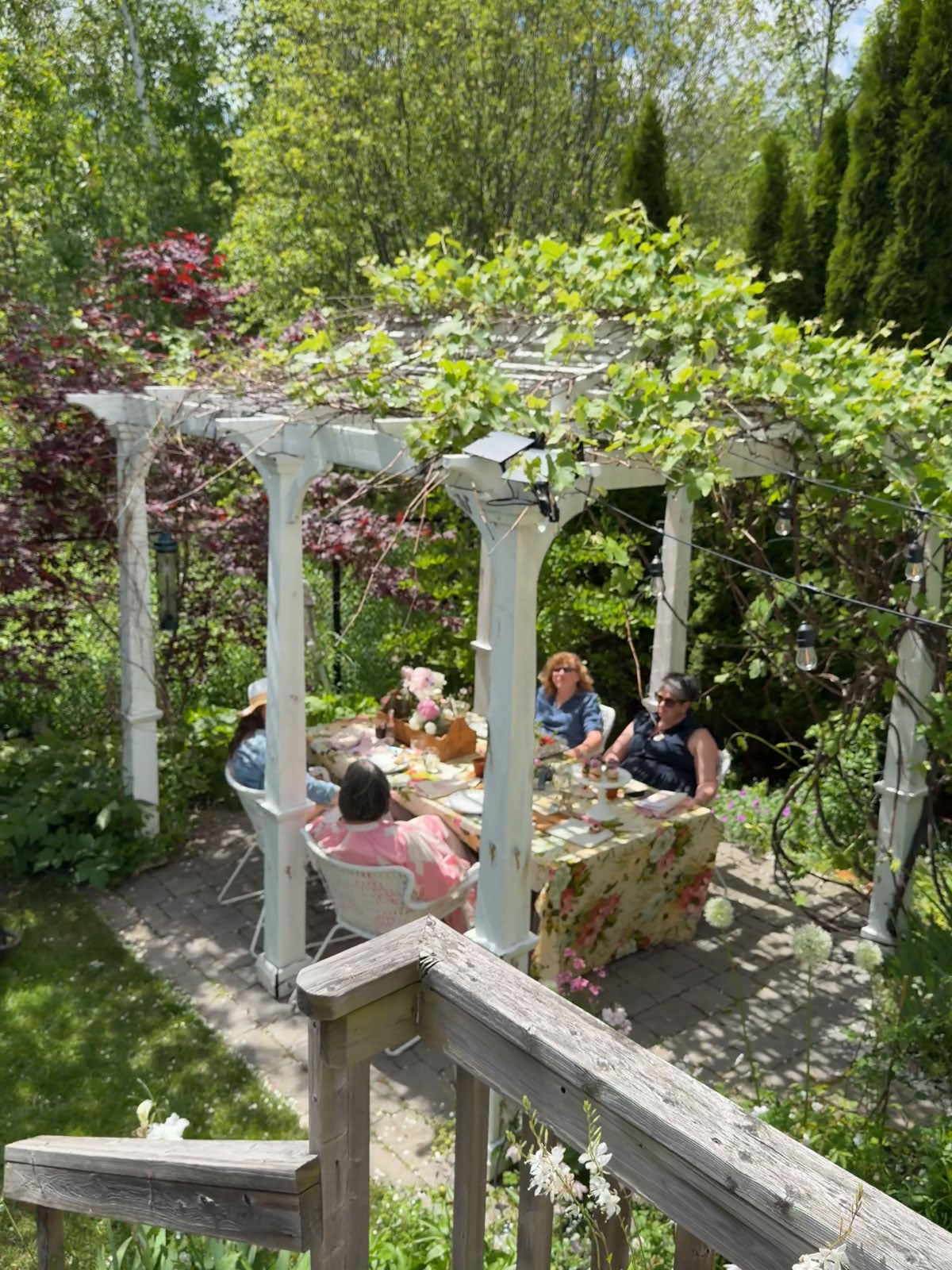 Guests gathered around garden party table under white grapevine pergola surrounded by lush backyard garden with wheelbarrow drinks cooler in background.