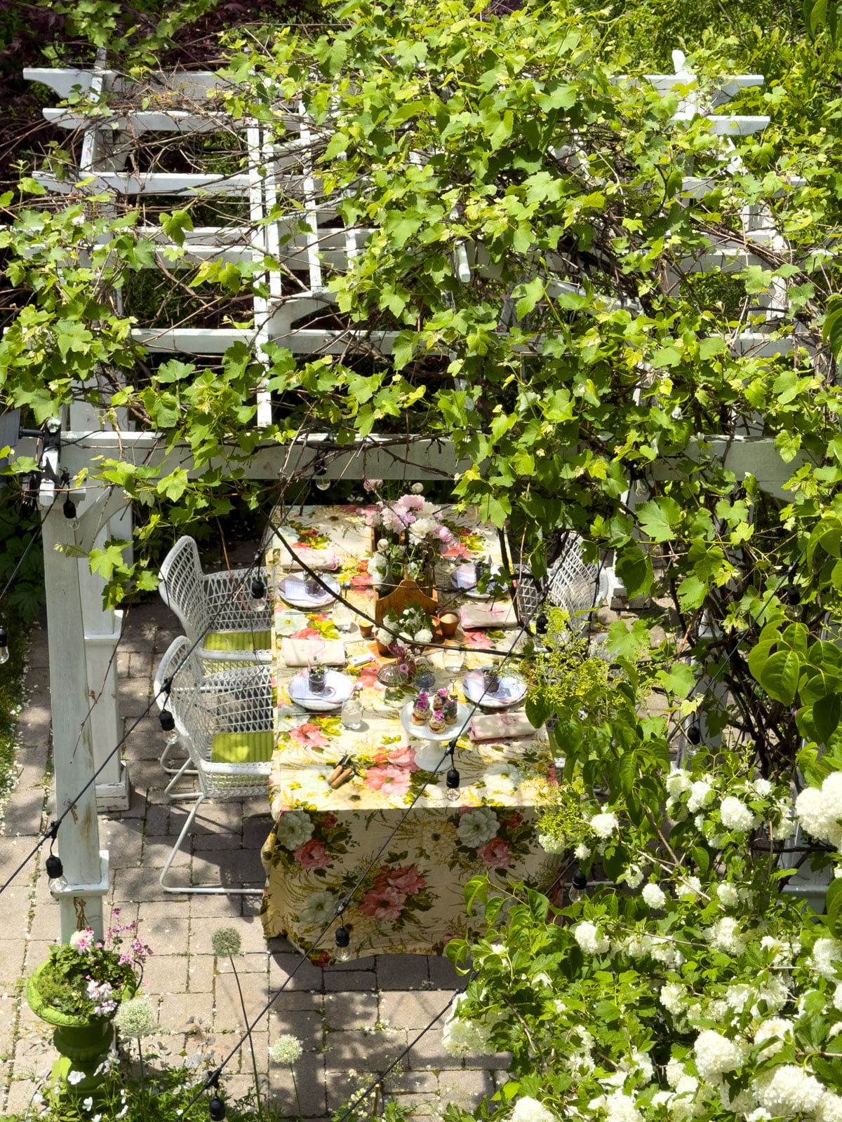 Garden party table set inside white grapevine pergola completely surrounded by lush green backyard garden with white hydrangeas in foreground.