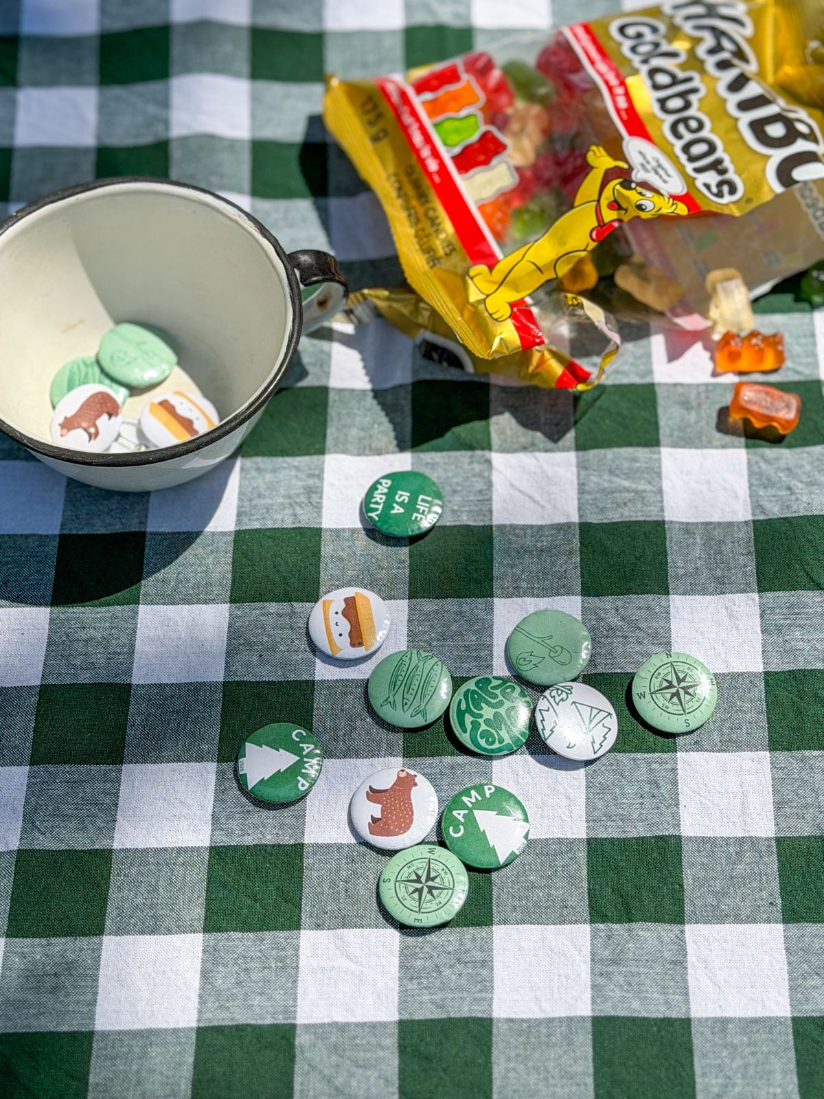 Camp themed pinback buttons with fish, bear, and s'mores designs on gingham tablecloth.