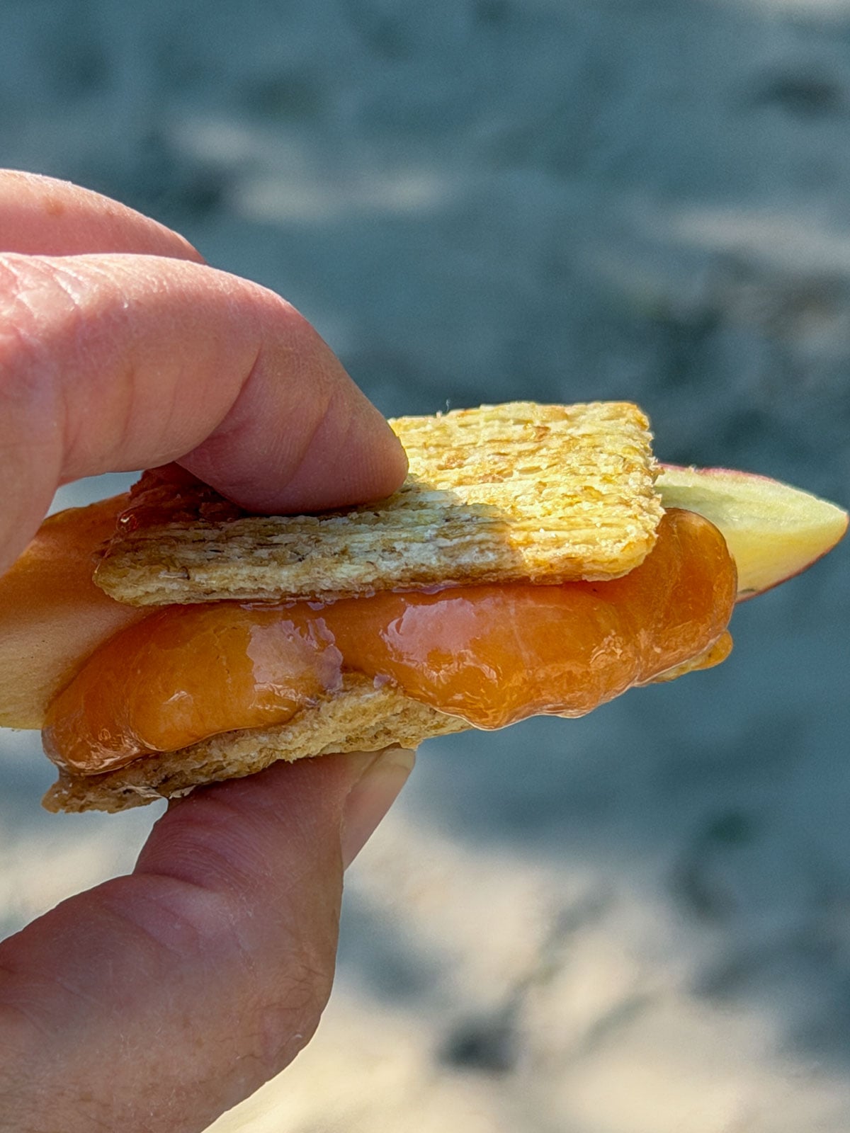 Hand holding a savory s'more with melted cheese and apricot jam on crackers.