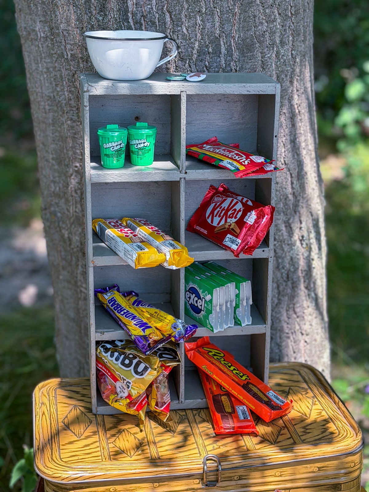 Wooden shelf display of nostalgic camp candy including KitKat, Reeses, and gum.