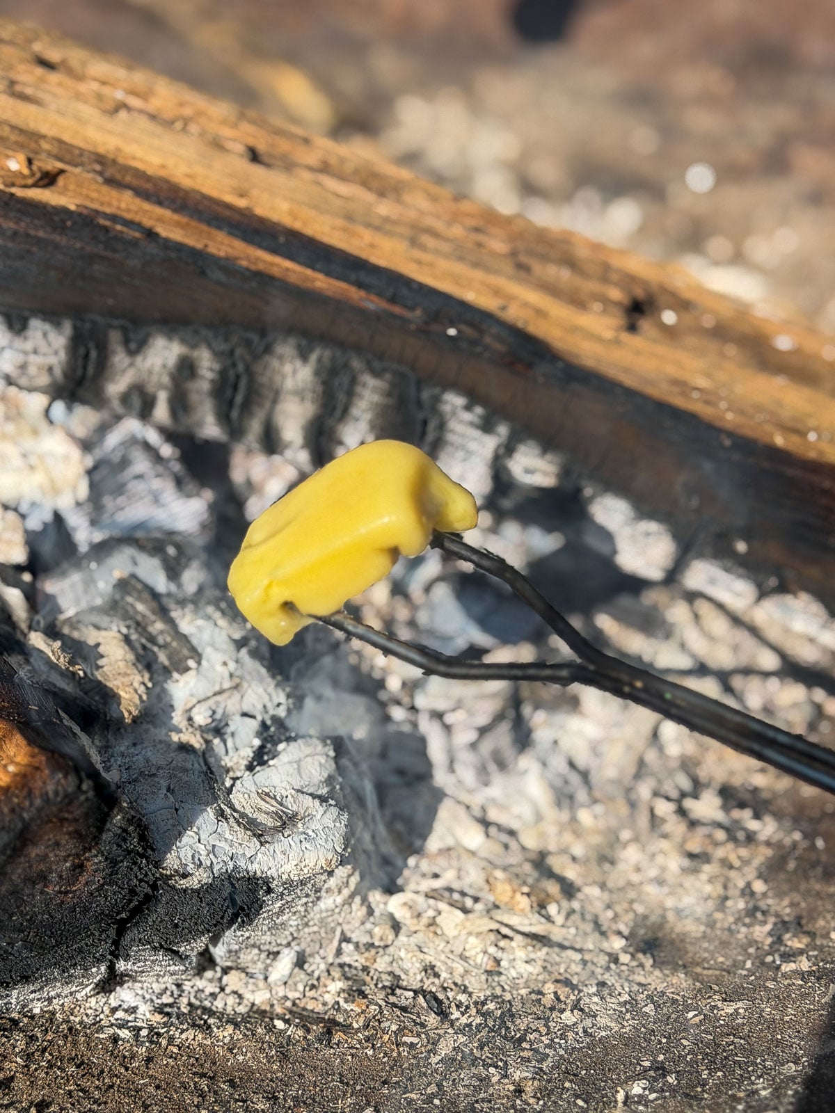 Savory s'mores tray displayed beside a campfire pit at the beach.