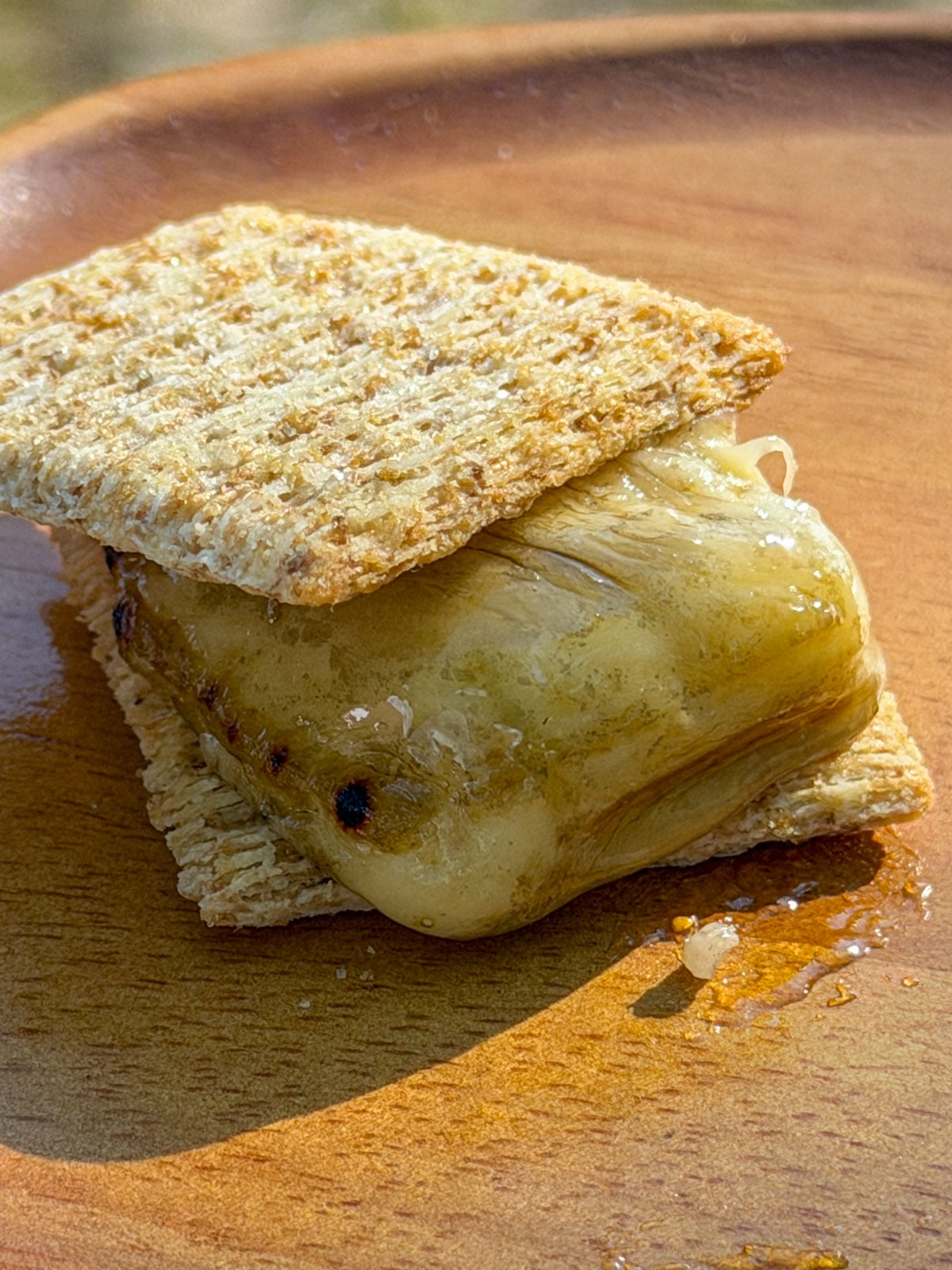 Melted swiss cheese with toppings and crackers.