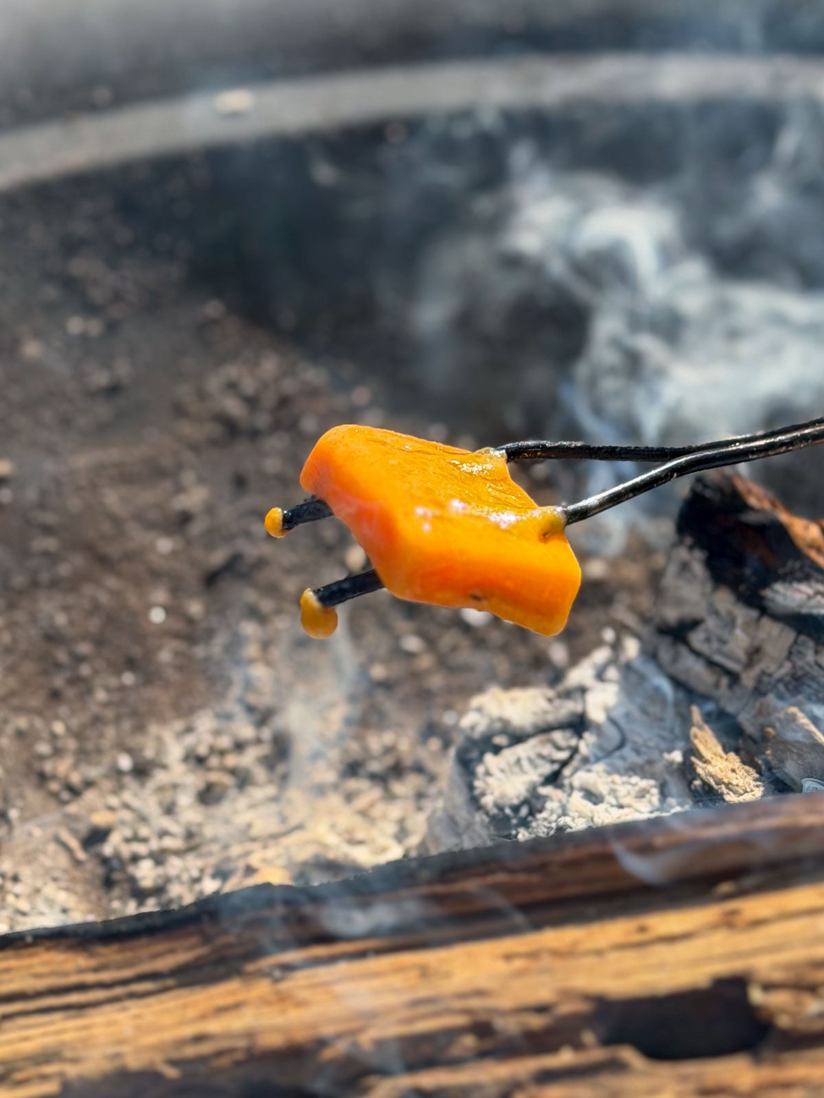 Cheddar cheese melting on a roasting fork over campfire coals.