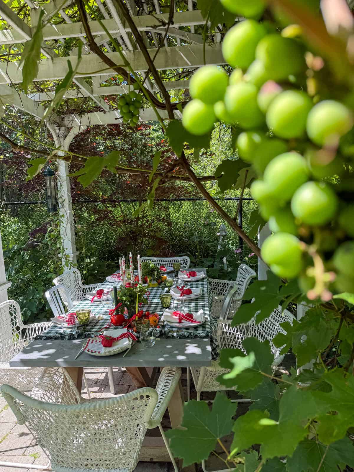 Green grapes hanging over outdoor party table in pergola.
