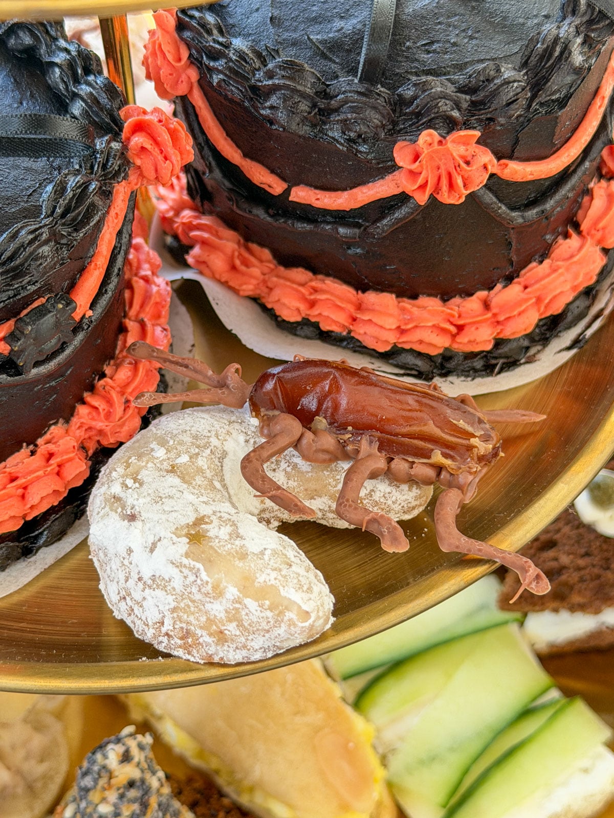 Chocolate covered date cockroach with piped legs and antennae climbing a crescent moon cookie.
