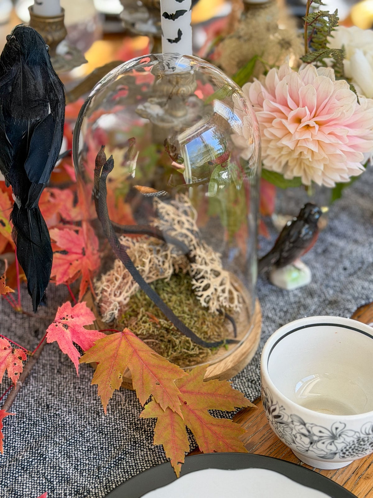 Glass dome with a snake, lichen and moss beside a black crow and pink dahlia.