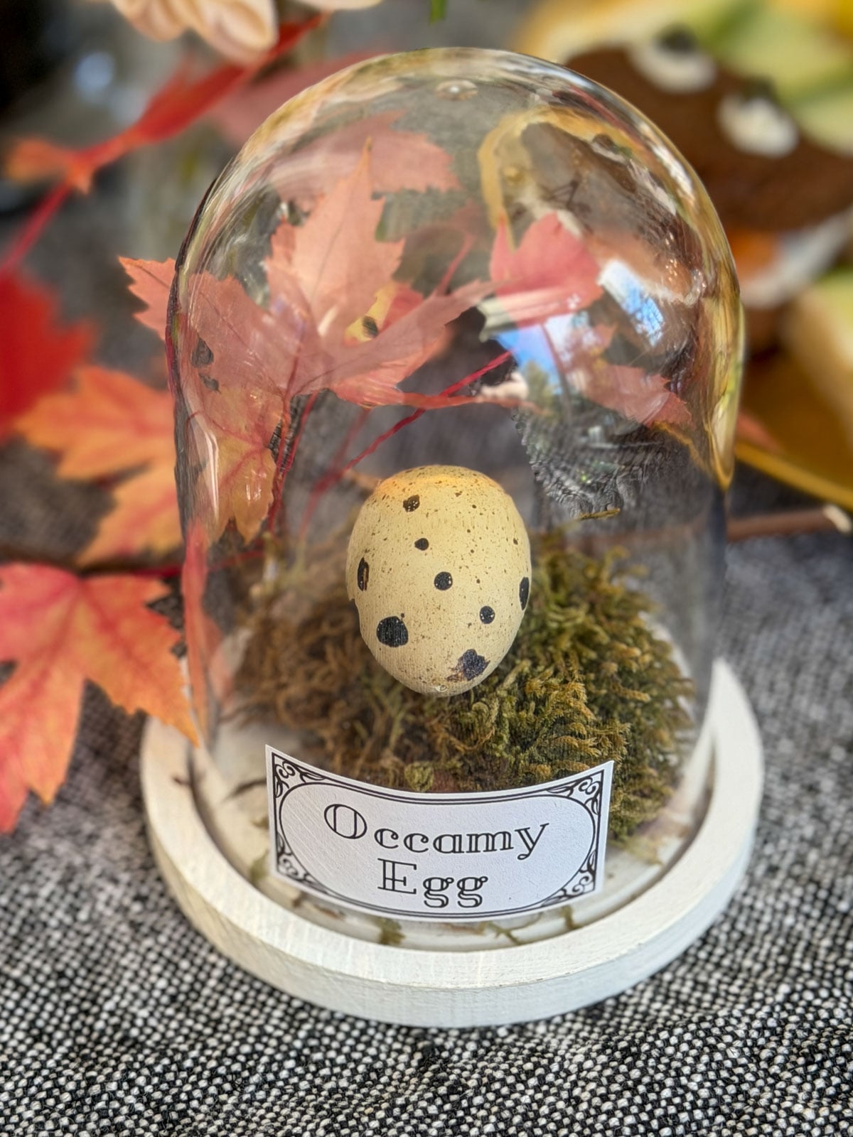 Glass dome with a speckled egg on moss and a label reading Occamy Egg.